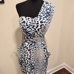 BCBG Blue and White Dress